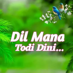 Dil Mana Todi Dini